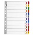 DIVIDERS A4 POLYPROPYLENE TAB INDEX JANUARYDECEMBER ASSORTED COLOURS 