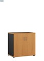 CUPBOARD CABINET STELLA PILOT P37 UTILITY 900H X 600D X 900W 2 ADJUSTABLE SHELVES BEECHIRONSTONE
