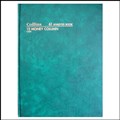 ACCOUNT BOOK COLLINS 61 13089 SERIES ANALYSIS BOOK 12MC 12 MONEY COLUMN A4 84 LEAF GREEN