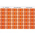 LABEL AVERY SIDE TAB COLOUR CODE LATERAL FILING 25MM X 38MM 43303  C  ORANGE 180PK