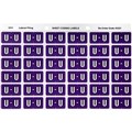 LABEL AVERY SIDE TAB COLOUR CODE LATERAL FILING 25MM X 38MM 43321  U  PURPLE 180PK