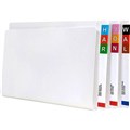 LATERAL FILES AVERY 46510 FOOLSCAP 326GSM FSC FITTED WITH TUBE CLIP WHITE CLIP 100PK