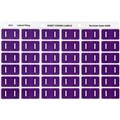 LABEL AVERY SIDE TAB COLOUR CODE LATERAL FILING 25MM X 38MM 43309  I  PURPLE 180PK