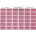 LABEL AVERY SIDE TAB COLOUR CODE LATERAL FILING 25MM X 38MM 43322  V  MAUVE 180PK