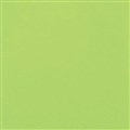 SPECIALTY BOARD COLOURFUL DAYS BOARD 200GSM A4 LIME GREEN 50PK