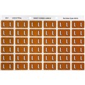 LABEL AVERY SIDE TAB COLOUR CODE LATERAL FILING 25MM X 38MM 43312  L  MUSTARD 180PK 