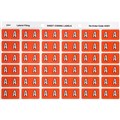 LABEL AVERY SIDE TAB COLOUR CODE LATERAL FILING 25MM X 38MM 43301  A  PINK 180PK