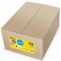 ENVELOPES C5 229MM X 162MM TUDOR POCKET PEEL N SEAL GOLD BOX 500