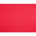 CARDBOARD PROJECT QUILL 90210 210GSM XL 510MM X 635MM BOARD RED