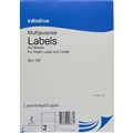 INITIATIVE MULTIPURPOSE LABELS 2UP 1996 X 1435MM 100PK