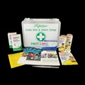 FIRST AID KIT TRAFALGAR 875499 SNAKE BITE  INSECT STINGS FIRST AID KIT