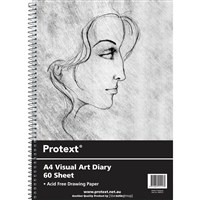 Visual Art Diaries