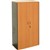 CUPBOARD CABINET RAPID WORKER LOCKABLE 1800 X 900 X 450MM BEECHIRONSTONE
