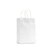 WHITE PAPER BAG WITH TWISTED PAPER HANDLE XSMALL EXTRA SMALL 305MM X 220MM  90MM 250PK