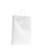 WHITE PAPER BAG WITH TWISTED PAPER HANDLE MEDIUM 480X34090MM 250PK